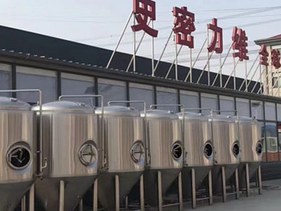 泌阳精酿啤酒设备厂—市场规模与跨界新需求